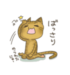 高知 幡多弁 猫スタンプ（個別スタンプ：36）