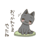 高知 幡多弁 猫スタンプ（個別スタンプ：39）