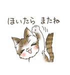 高知 幡多弁 猫スタンプ（個別スタンプ：40）