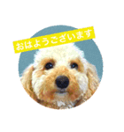 ひーちゃんとさっく2（個別スタンプ：2）