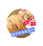 ひーちゃんとさっく2（個別スタンプ：3）