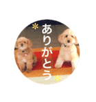 ひーちゃんとさっく2（個別スタンプ：4）