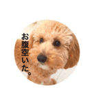 ひーちゃんとさっく2（個別スタンプ：6）