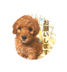 ひーちゃんとさっく2（個別スタンプ：7）