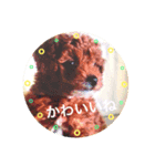 ひーちゃんとさっく2（個別スタンプ：8）