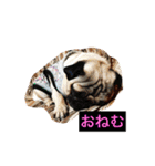 あず、のりスタンプ1（個別スタンプ：1）