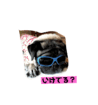 あず、のりスタンプ1（個別スタンプ：2）