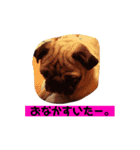 あず、のりスタンプ1（個別スタンプ：14）