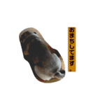 あず、のりスタンプ1（個別スタンプ：15）