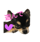 チャコさんの生活2（個別スタンプ：6）