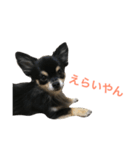 チャコさんの生活2（個別スタンプ：16）