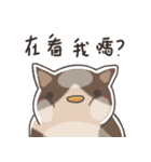 ちゅうちゃん図鑑（個別スタンプ：3）