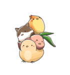ちゅうちゃん図鑑（個別スタンプ：32）
