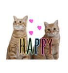 猫★キキとチャチャ（個別スタンプ：10）