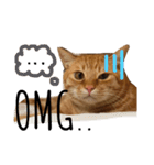 猫★キキとチャチャ（個別スタンプ：14）