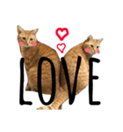 猫★キキとチャチャ（個別スタンプ：15）
