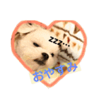 ビビノア！（個別スタンプ：1）