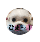 ビビノア！（個別スタンプ：3）
