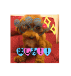 ビビノア！（個別スタンプ：5）