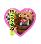 ビビノア！（個別スタンプ：8）