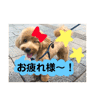 ビビノア！（個別スタンプ：9）