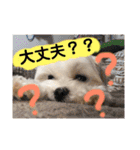 ビビノア！（個別スタンプ：10）