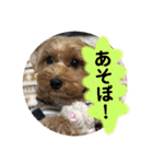 ビビノア！（個別スタンプ：14）