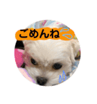 ビビノア！（個別スタンプ：16）