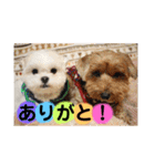 ビビノア！（個別スタンプ：18）