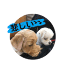 ビビノア！（個別スタンプ：22）