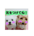 ビビノア！（個別スタンプ：24）