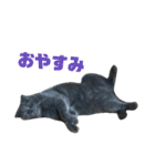 シャビさん（個別スタンプ：6）