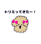 ゆるめなトイプー（個別スタンプ：1）