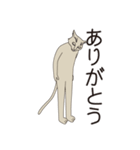 思い伝える地味猫スタンプ（個別スタンプ：1）