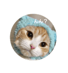 べびにゃん（個別スタンプ：1）