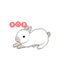 ドット絵スタンプ(挨拶)（個別スタンプ：1）