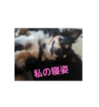 リラ、ホクミ（個別スタンプ：2）