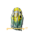 Mai Kajikawa（個別スタンプ：3）