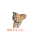 まめちゃり（個別スタンプ：2）