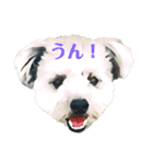 ポメプーくーちゃん（個別スタンプ：4）