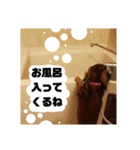 Calynの一日2（個別スタンプ：5）