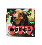 Calynの一日2（個別スタンプ：10）