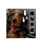 Calynの一日2（個別スタンプ：11）