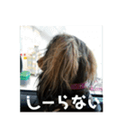 Calynの一日2（個別スタンプ：12）