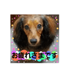 Calynの一日2（個別スタンプ：13）