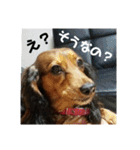 Calynの一日2（個別スタンプ：14）