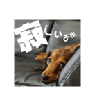 Calynの一日2（個別スタンプ：15）