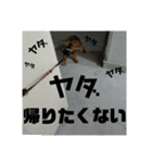 Calynの一日2（個別スタンプ：16）