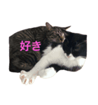 くろむぎゆきぽん（個別スタンプ：17）