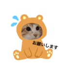 れんたんの日常（個別スタンプ：4）